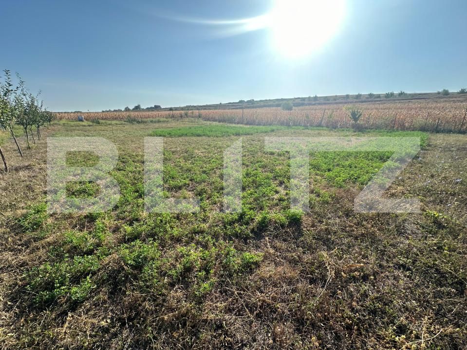 Teren de vânzare Oarda - 158204TV | BLITZ Alba Iulia | Poza1