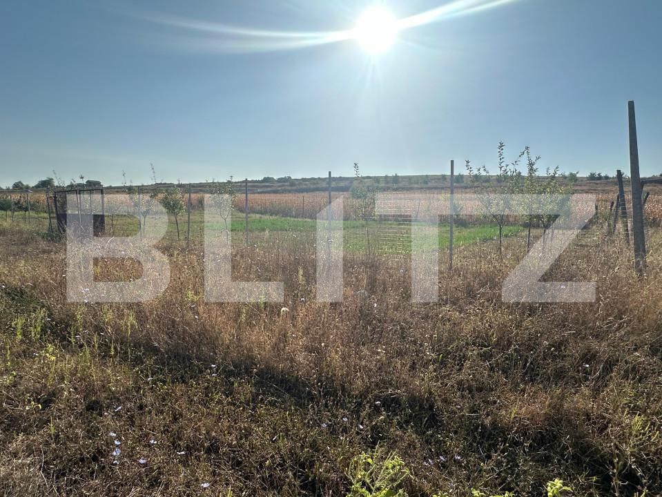 Teren de vânzare Oarda - 158204TV | BLITZ Alba Iulia | Poza3