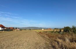 TEREN INTRAVILAN, 600 mp, CIUGUD,TOATE UTILITATILE