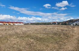 Teren intravilan,563 mp,Drumul Petrestiului