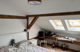 Casa individuala pentru birouri, 130 mp, zona centrala