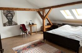 Casa individuala pentru birouri, 130 mp, zona centrala