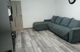 Apartament cu 2 camere, zona cetate Mercur, etajul 2