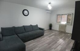 Apartament cu 2 camere, zona cetate Mercur, etajul 2