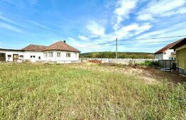 Casa la tara, teren 5500 mp ,Garbova de Jos