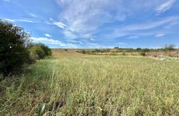 Casa la tara, teren 5500 mp ,Garbova de Jos