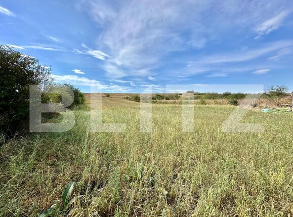 Casa de vânzare 4 camere Aiud - 158438CV | BLITZ Alba Iulia | Poza7