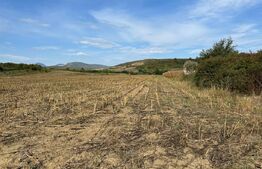 Teren extravilan 5300 mp, Garbova de jos