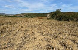 Teren extravilan 5300 mp, Garbova de jos