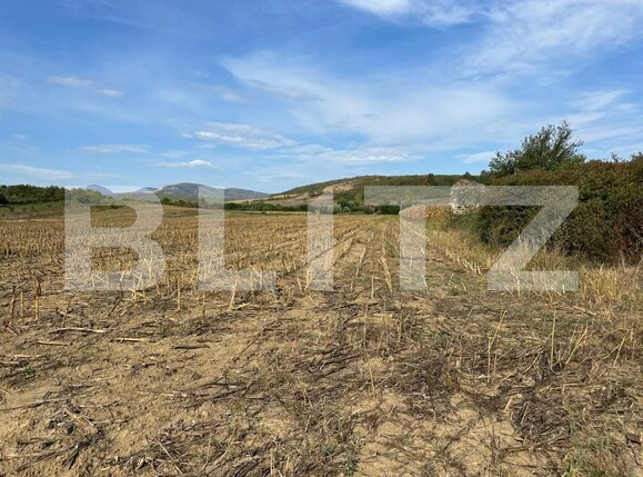 Teren de vânzare Aiud - 158468TV | BLITZ Alba Iulia | Poza1