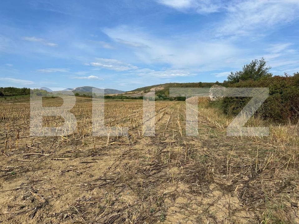 Teren de vânzare Aiud - 158468TV | BLITZ Alba Iulia | Poza1