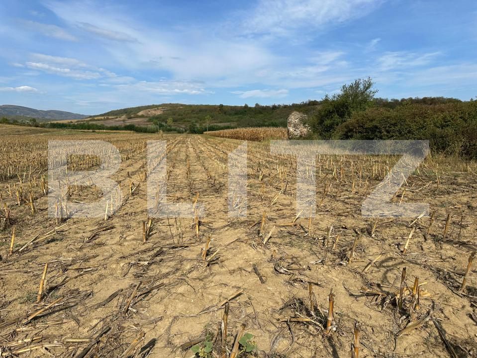 Teren de vânzare Aiud - 158468TV | BLITZ Alba Iulia | Poza2