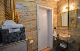 Casa de Vacanta  intr-o zona superba a satului Deal