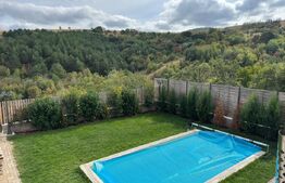 Casa de Vacanta  intr-o zona superba a satului Deal