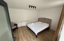 Casa de Vacanta  intr-o zona superba a satului Deal