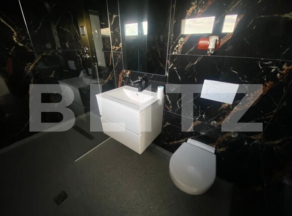 Casa de închiriat 3 camere Micești - 158637CI | BLITZ Alba Iulia | Poza10