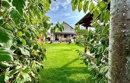 Casă Individuală cu 3 Camere și curte 470 mp, zona Centrala 