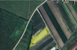 Teren 8.700 mp cu baltă piscicolă, 5.500 mp luciu de apă – zona Coșlariu