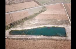 Teren 8.700 mp cu baltă piscicolă, 5.500 mp luciu de apă – zona Coșlariu