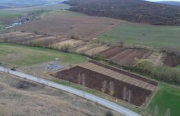 Teren intravilan cu proiect de casa 2600, zona Hapria