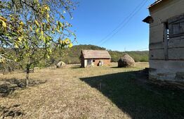 Teren intravilan de vanzare 14000mp,ideal pentru investitie,Stauini,Vintu de Jos