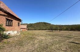 Teren intravilan de vanzare 14000mp,ideal pentru investitie,Stauini,Vintu de Jos