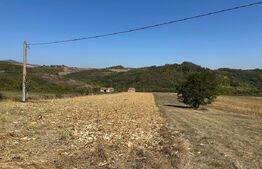 Teren intravilan de vanzare 14000mp,ideal pentru investitie,Stauini,Vintu de Jos