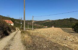 Teren intravilan de vanzare 14000mp,ideal pentru investitie,Stauini,Vintu de Jos