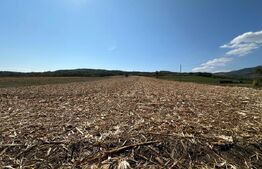 Teren intravilan de vanzare 14000mp,ideal pentru investitie,Stauini,Vintu de Jos