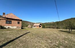 Teren intravilan de vanzare 14000mp,ideal pentru investitie,Stauini,Vintu de Jos