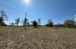 Teren intravilan de vanzare 14000mp,ideal pentru investitie,Stauini,Vintu de Jos