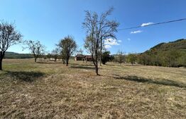 Teren intravilan de vanzare 14000mp,ideal pentru investitie,Stauini,Vintu de Jos