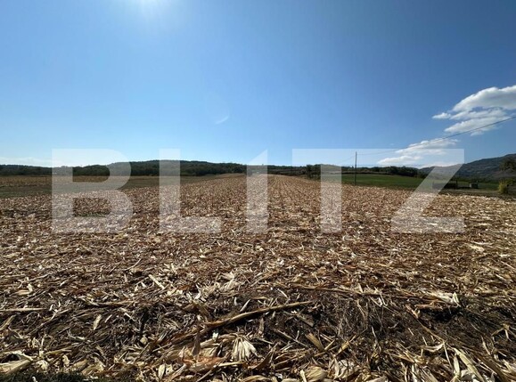 Teren de vânzare Vinţu de Jos - 158841TV | BLITZ Alba Iulia | Poza8