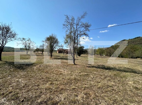 Teren de vânzare Vinţu de Jos - 158841TV | BLITZ Alba Iulia | Poza9