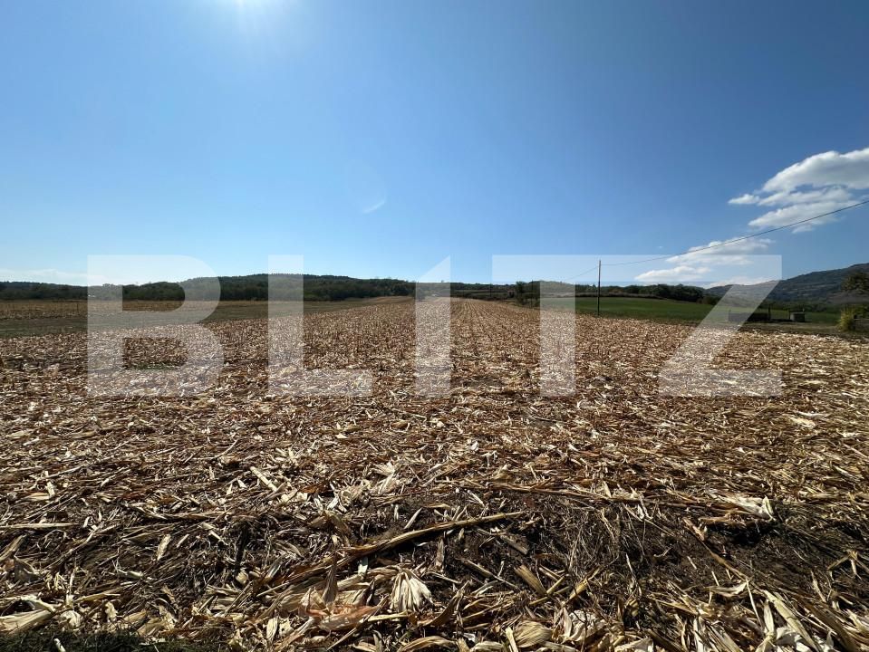 Teren de vânzare Vinţu de Jos - 158841TV | BLITZ Alba Iulia | Poza8