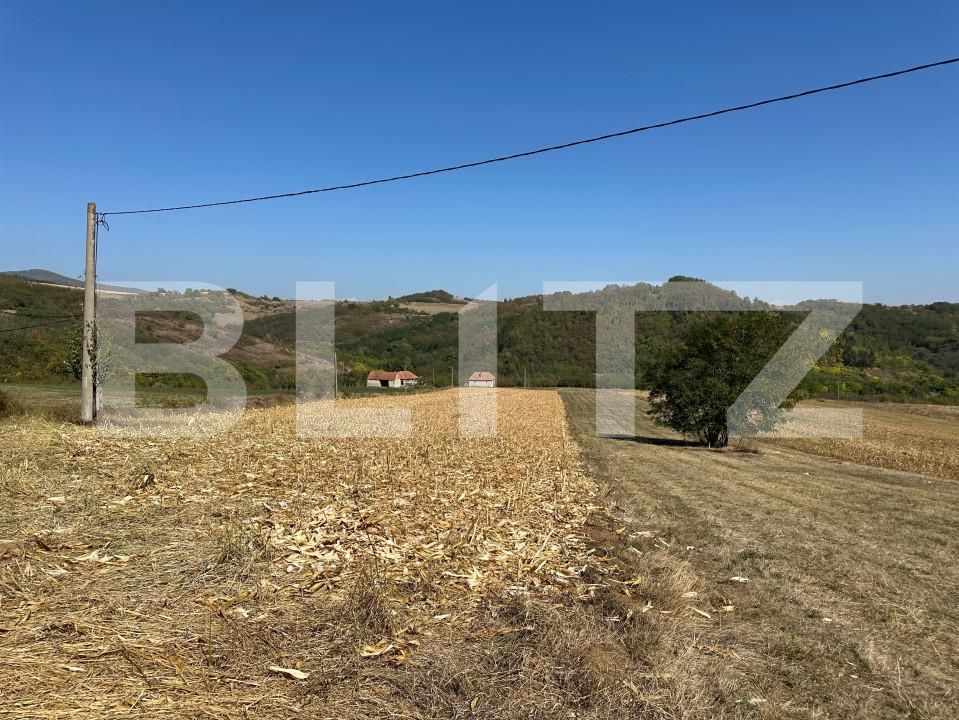 Teren de vânzare Vinţu de Jos - 158841TV | BLITZ Alba Iulia | Poza2