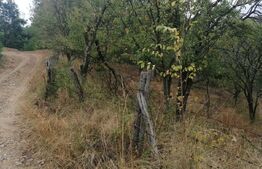 Teren intravilan 3000 mp apa si curent in sat. Inuri