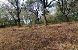 Teren intravilan 3000 mp apa si curent in sat. Inuri