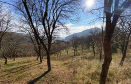 Teren intravilan 3000 mp apa si curent in sat. Inuri