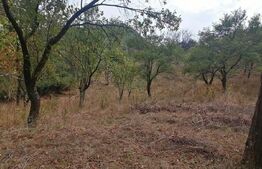 Teren intravilan 3000 mp apa si curent in sat. Inuri