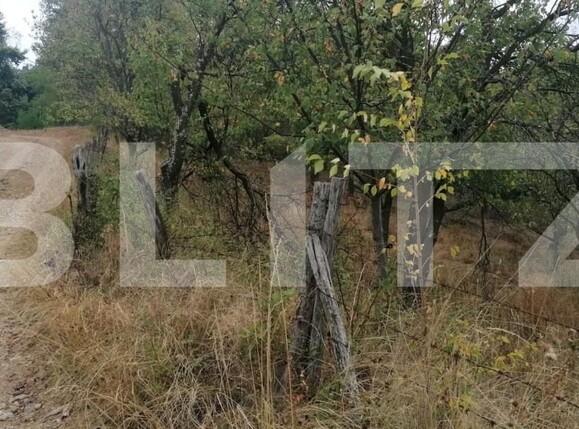 Teren de vânzare Exterior Vest - 158856TV | BLITZ Alba Iulia | Poza4