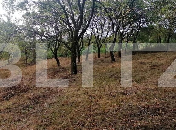 Teren de vânzare Exterior Vest - 158856TV | BLITZ Alba Iulia | Poza5