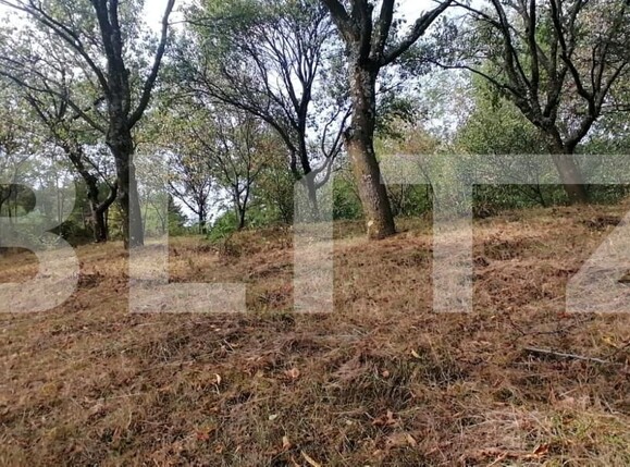 Teren de vânzare Exterior Vest - 158856TV | BLITZ Alba Iulia | Poza3