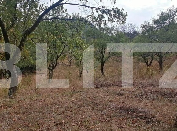 Teren de vânzare Exterior Vest - 158856TV | BLITZ Alba Iulia | Poza6