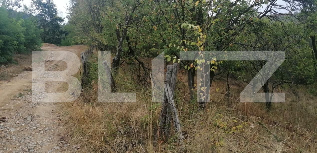 Teren de vânzare Exterior Vest - 158856TV | BLITZ Alba Iulia | Poza4