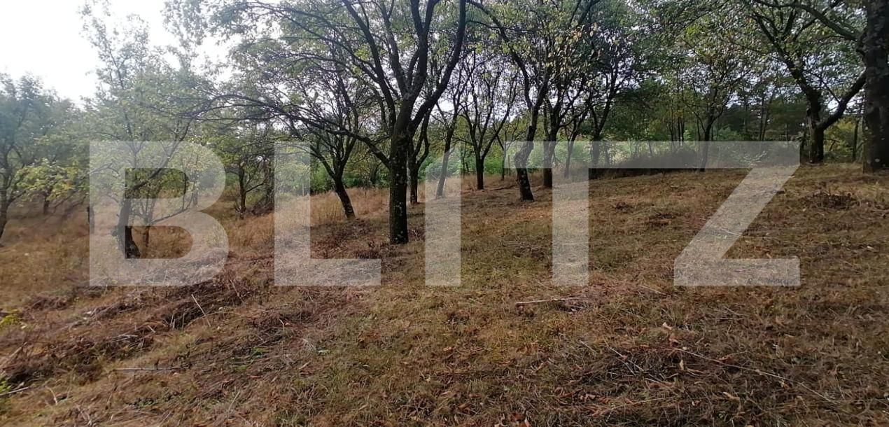 Teren de vânzare Exterior Vest - 158856TV | BLITZ Alba Iulia | Poza5