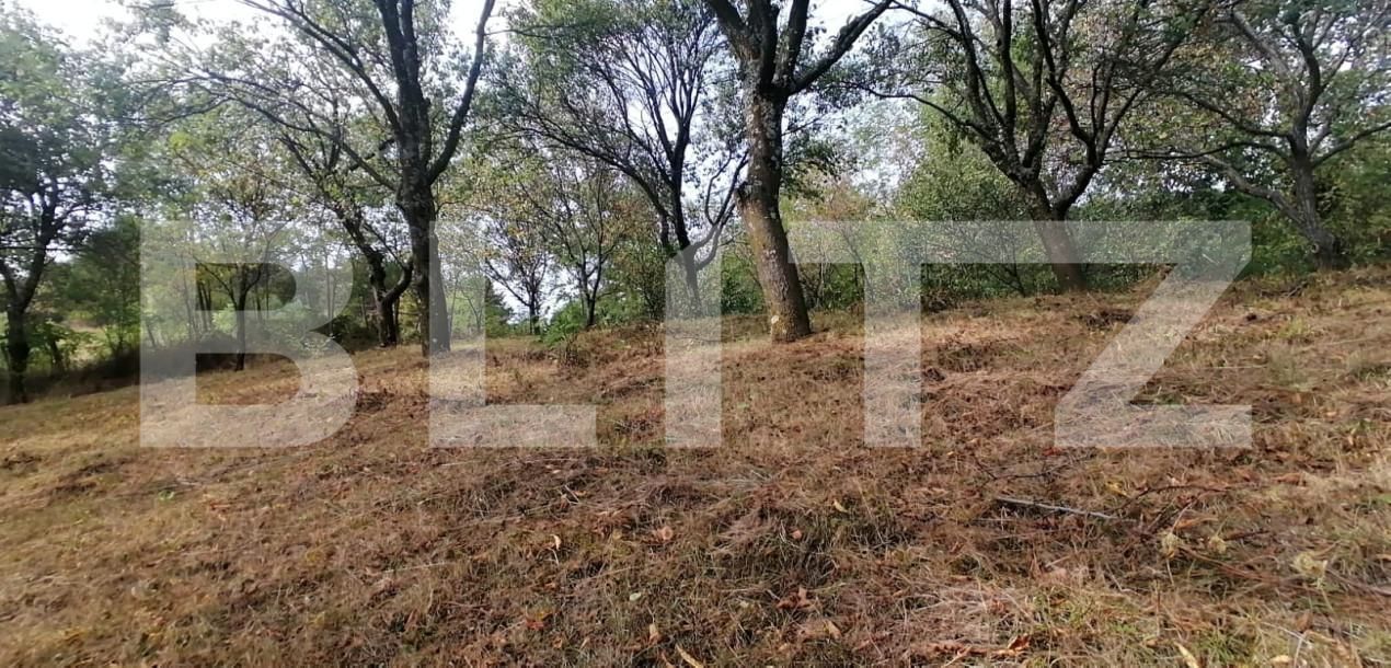 Teren de vânzare Exterior Vest - 158856TV | BLITZ Alba Iulia | Poza3