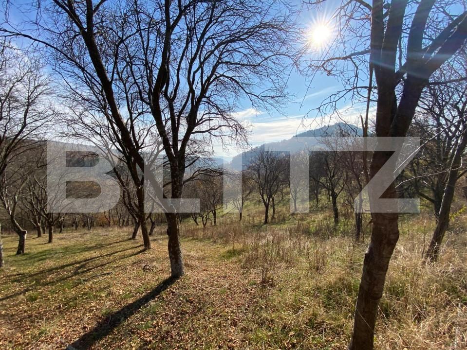 Teren de vânzare Exterior Vest - 158856TV | BLITZ Alba Iulia | Poza1