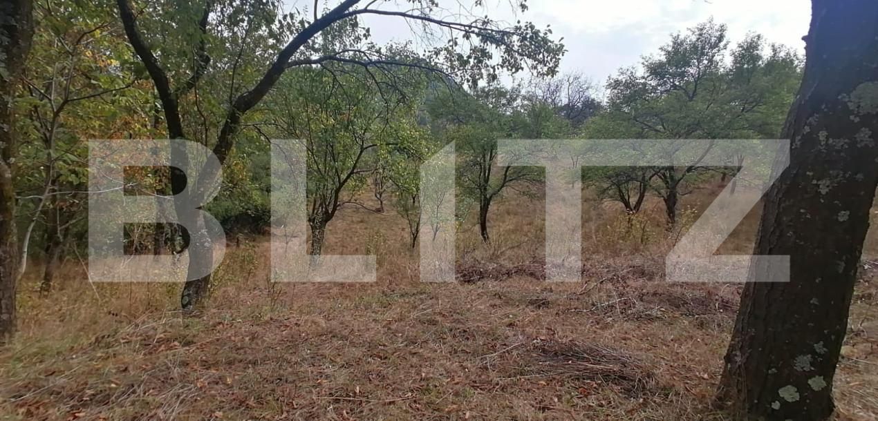 Teren de vânzare Exterior Vest - 158856TV | BLITZ Alba Iulia | Poza6