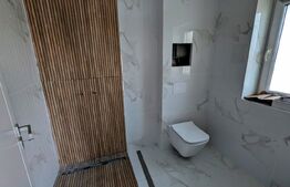 Casa tip duplex, 138 mp utili, cu piscina, 4 camere, Cetate 